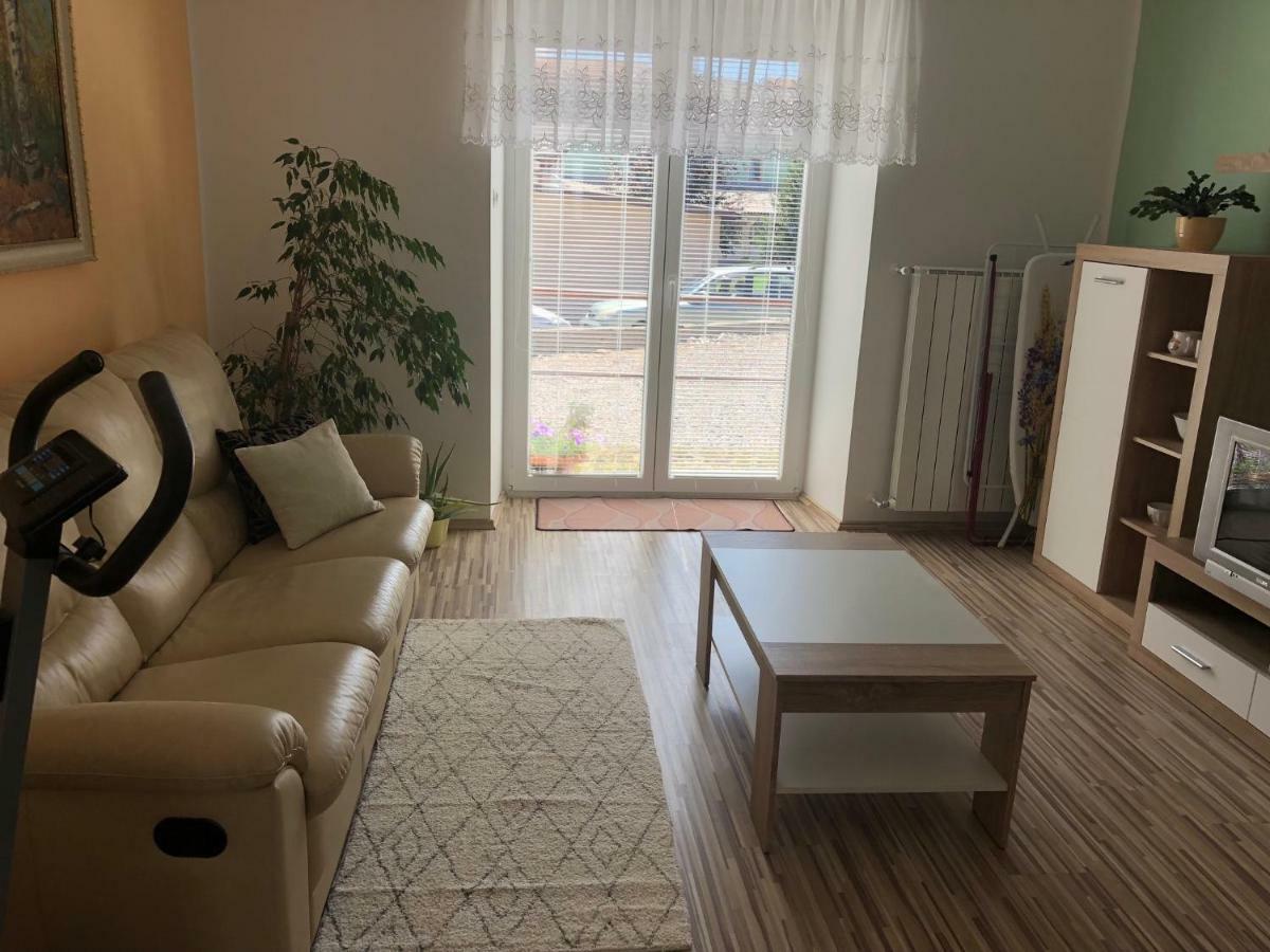 Apartma Mahnic Postojna Exterior foto